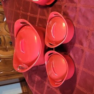 Rachel ray cook wears set.